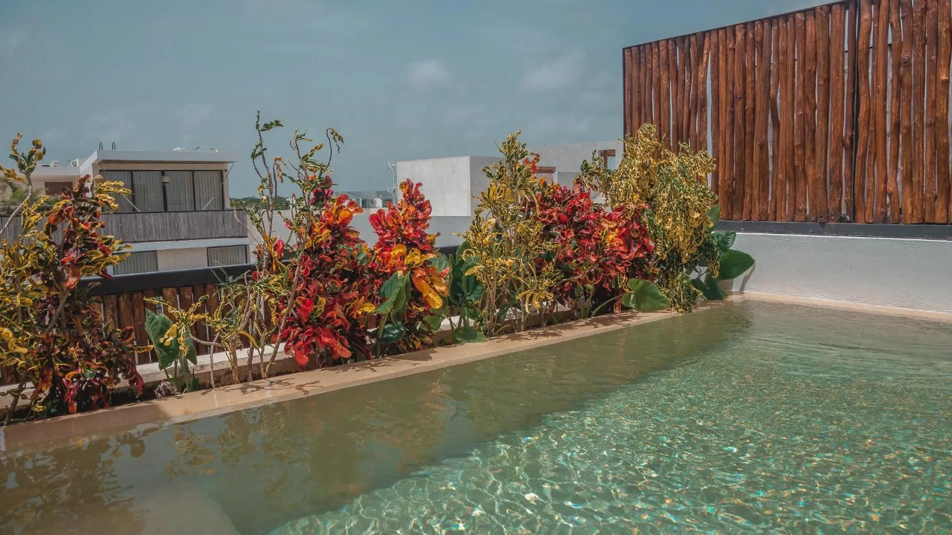 Apartment Suite With Private Pool Tulum Mexico